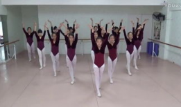 舞蹈视频,捕捉舞蹈视频的精彩瞬间与情感表达